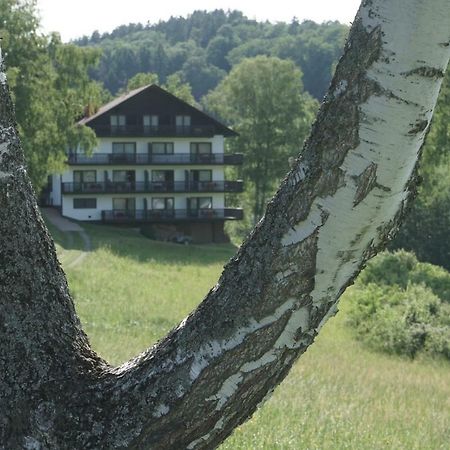 Birkenhof Hotel Валд-Михелбах Екстериор снимка