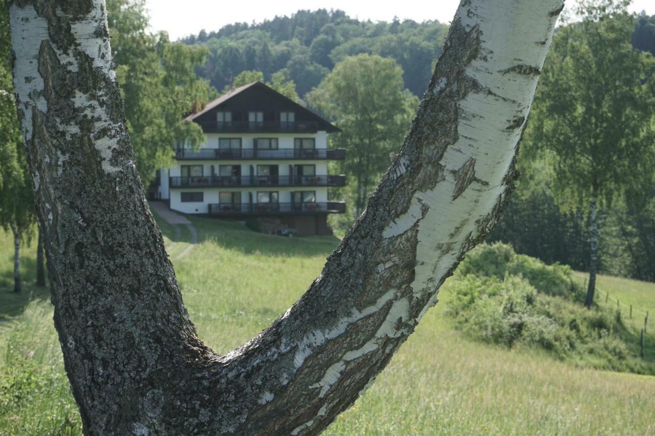 Birkenhof Hotel Валд-Михелбах Екстериор снимка