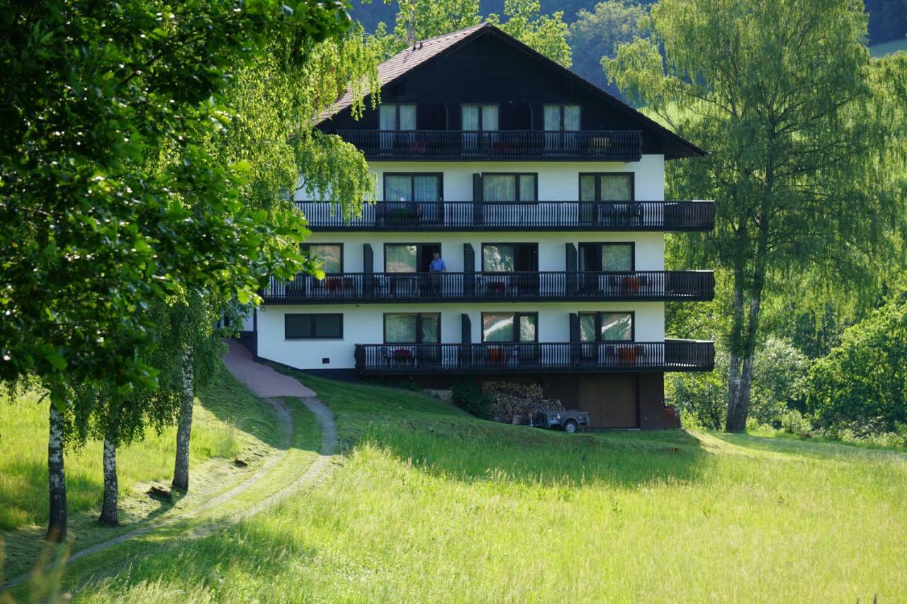 Birkenhof Hotel Валд-Михелбах Екстериор снимка